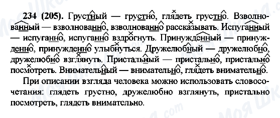 ГДЗ Російська мова 7 клас сторінка 234(205)