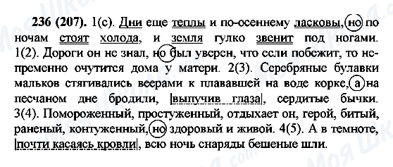 ГДЗ Російська мова 7 клас сторінка 236(207)