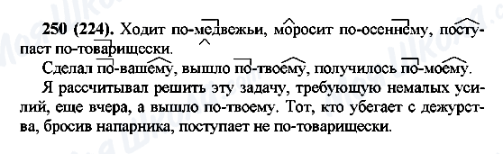 ГДЗ Русский язык 7 класс страница 250(224)