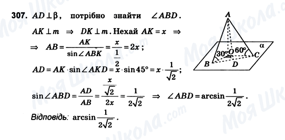 ГДЗ Геометрія 10 клас сторінка 307