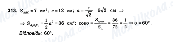 ГДЗ Геометрія 10 клас сторінка 313
