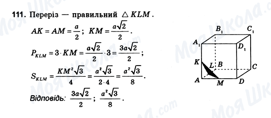 ГДЗ Геометрія 10 клас сторінка 111