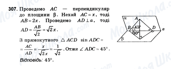 ГДЗ Геометрія 10 клас сторінка 307