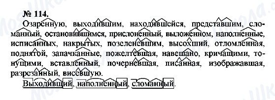 ГДЗ Російська мова 10 клас сторінка 114