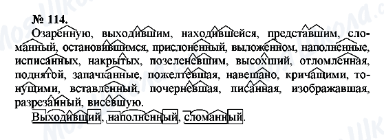 ГДЗ Русский язык 10 класс страница 114