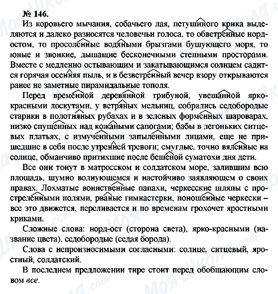 ГДЗ Російська мова 10 клас сторінка 146