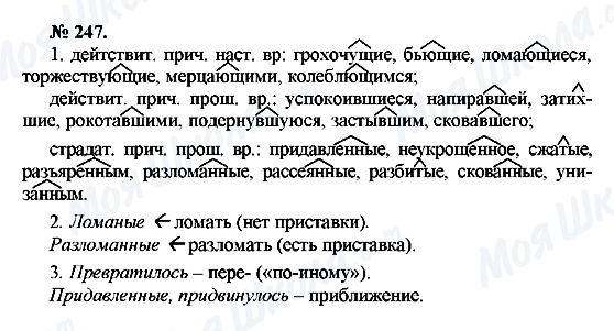 ГДЗ Російська мова 10 клас сторінка 247