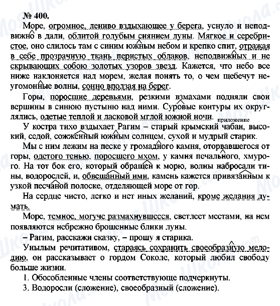 ГДЗ Російська мова 10 клас сторінка 400