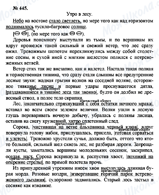 ГДЗ Російська мова 10 клас сторінка 445