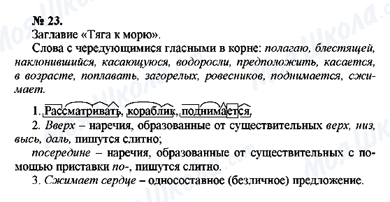 ГДЗ Русский язык 10 класс страница 23
