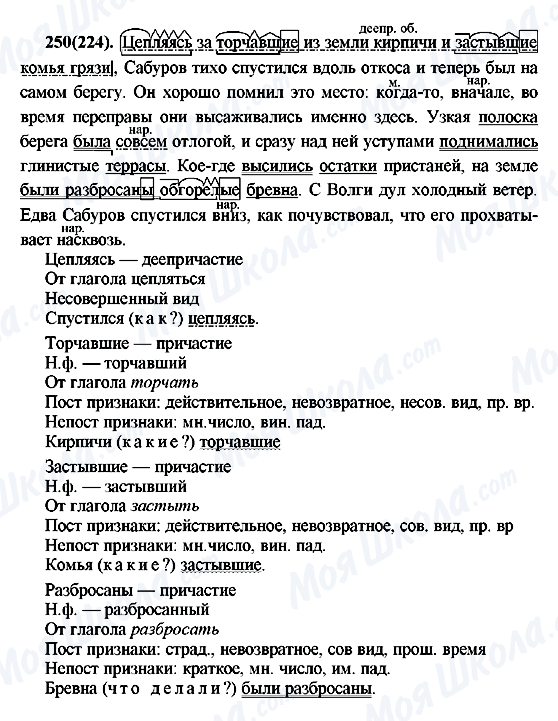 ГДЗ Російська мова 7 клас сторінка 250(224)
