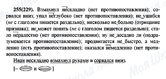 ГДЗ Русский язык 7 класс страница 255(229)