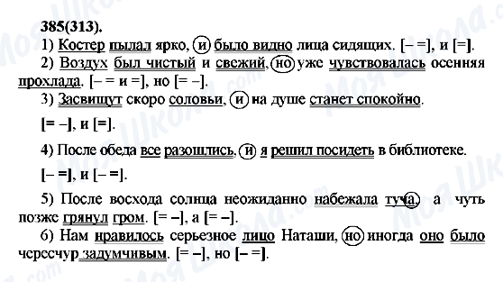 ГДЗ Російська мова 7 клас сторінка 385(313)
