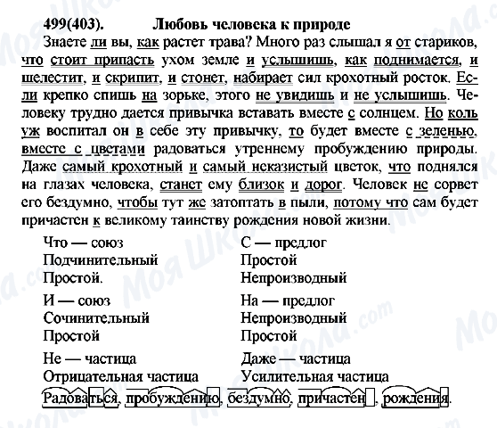 ГДЗ Російська мова 7 клас сторінка 499(403)