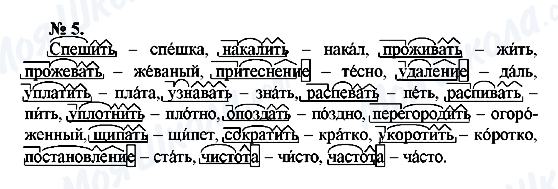 ГДЗ Російська мова 10 клас сторінка 5