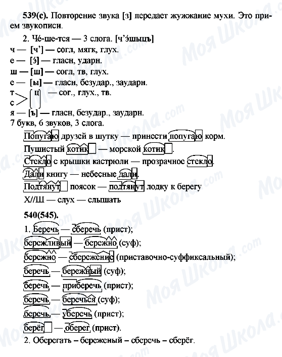 ГДЗ Російська мова 7 клас сторінка 539(с)