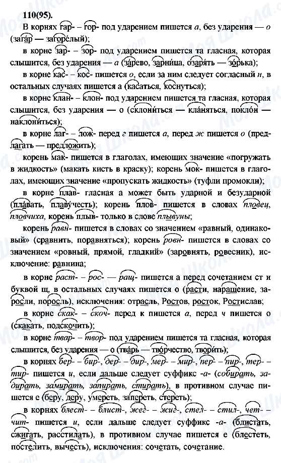 ГДЗ Русский язык 7 класс страница 110(95)