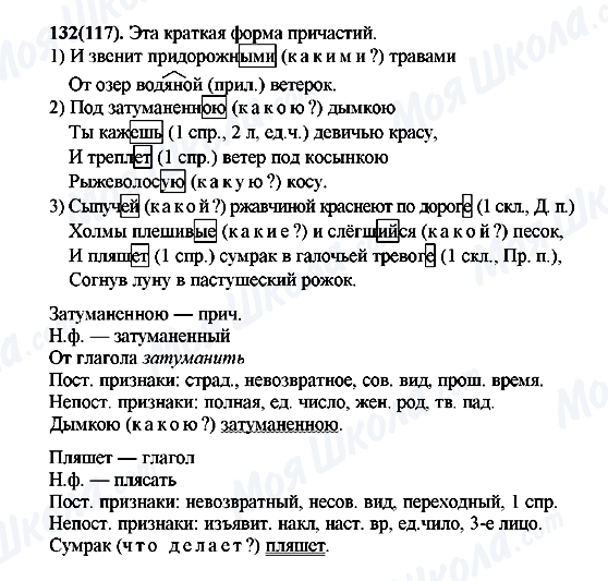 ГДЗ Русский язык 7 класс страница 132(117)