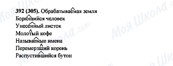ГДЗ Російська мова 6 клас сторінка 392(305)