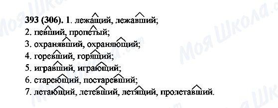 ГДЗ Російська мова 6 клас сторінка 393(306)