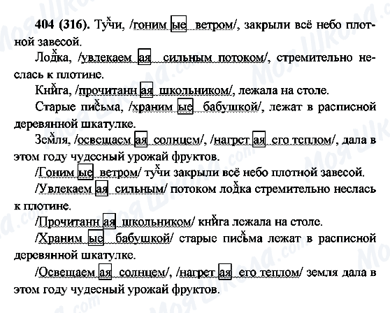 ГДЗ Російська мова 6 клас сторінка 404(316)