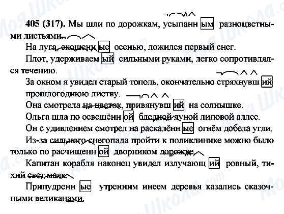 ГДЗ Русский язык 6 класс страница 405(317)