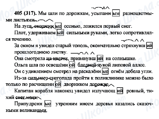 ГДЗ Російська мова 6 клас сторінка 405(317)