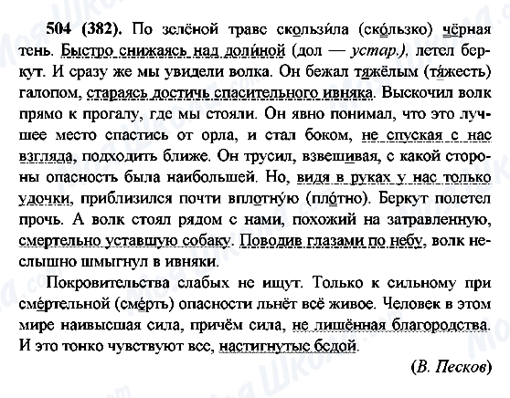 ГДЗ Російська мова 6 клас сторінка 504(382)