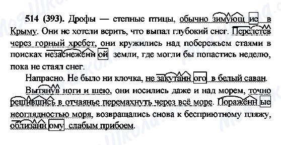 ГДЗ Російська мова 6 клас сторінка 514(393)