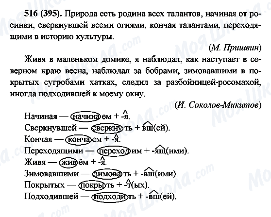 ГДЗ Русский язык 6 класс страница 516(395)