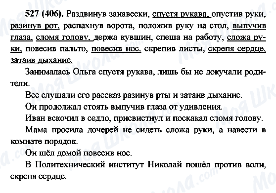 ГДЗ Російська мова 6 клас сторінка 527(406)