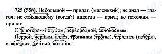 ГДЗ Російська мова 6 клас сторінка 725(558)