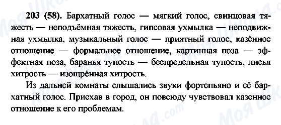 ГДЗ Русский язык 6 класс страница 203(58)