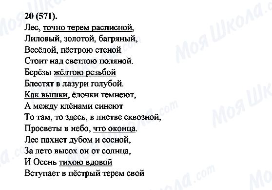 ГДЗ Російська мова 6 клас сторінка 20(571)