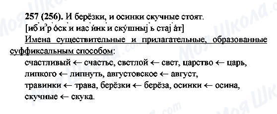 ГДЗ Російська мова 6 клас сторінка 257(256)