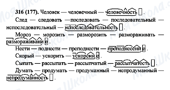ГДЗ Русский язык 6 класс страница 316(177)