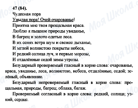 ГДЗ Російська мова 6 клас сторінка 47(84)