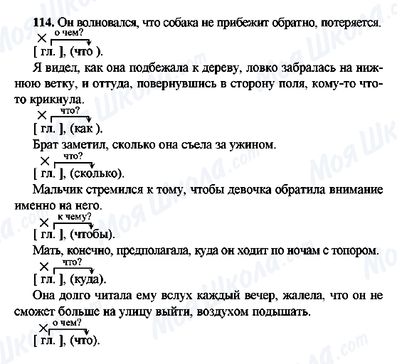 ГДЗ Російська мова 9 клас сторінка 114