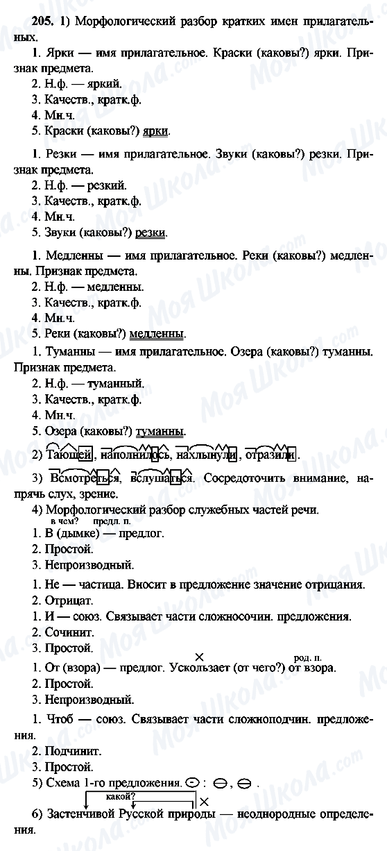 ГДЗ Російська мова 9 клас сторінка 205