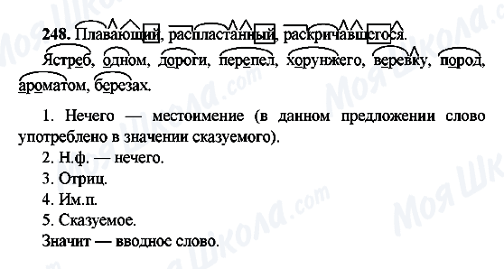 ГДЗ Русский язык 9 класс страница 248