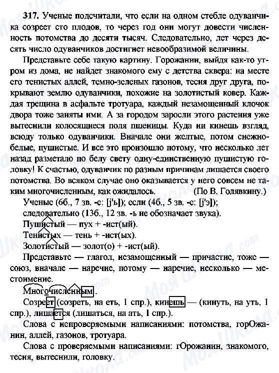 ГДЗ Російська мова 9 клас сторінка 317