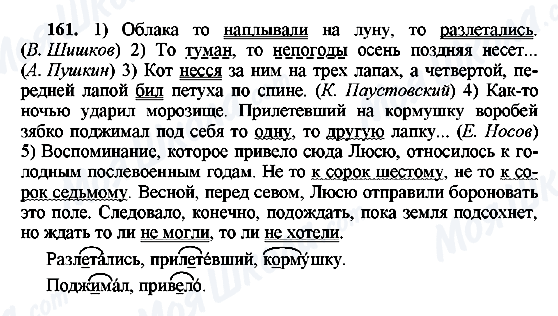 ГДЗ Російська мова 8 клас сторінка 161