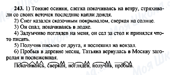 ГДЗ Російська мова 8 клас сторінка 243