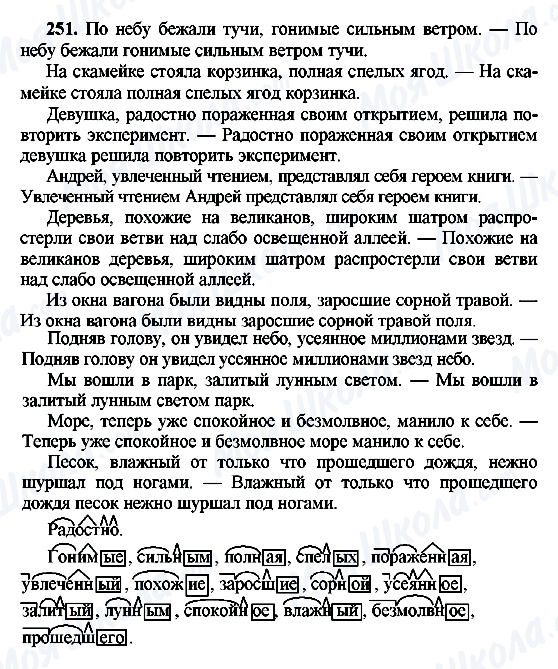 ГДЗ Російська мова 8 клас сторінка 251