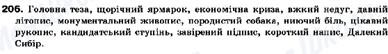 ГДЗ Українська мова 10 клас сторінка 206