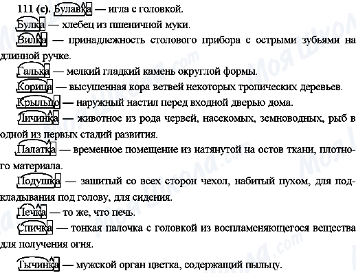 ГДЗ Російська мова 10 клас сторінка 111(с)