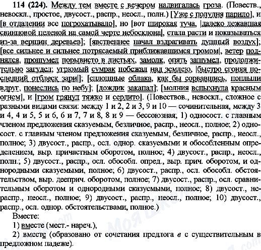 ГДЗ Російська мова 10 клас сторінка 114(224)