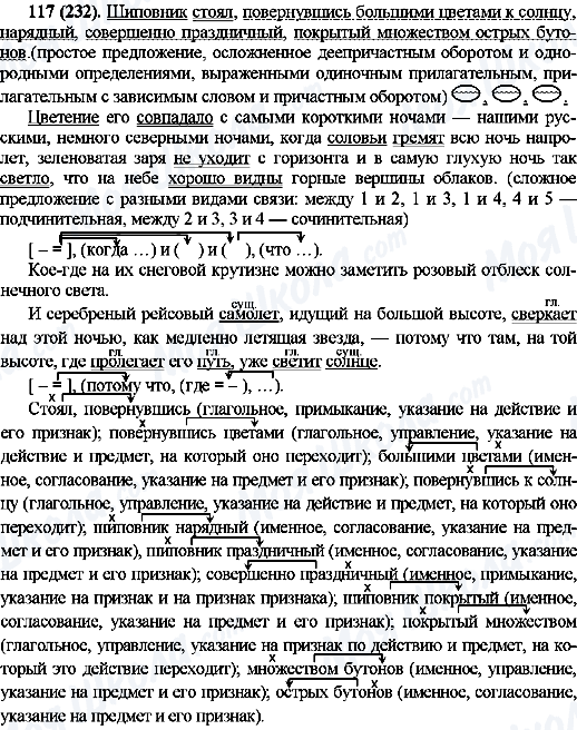 ГДЗ Російська мова 10 клас сторінка 117(232)