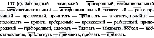 ГДЗ Російська мова 10 клас сторінка 117(с)