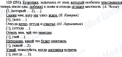 ГДЗ Російська мова 10 клас сторінка 123(251)